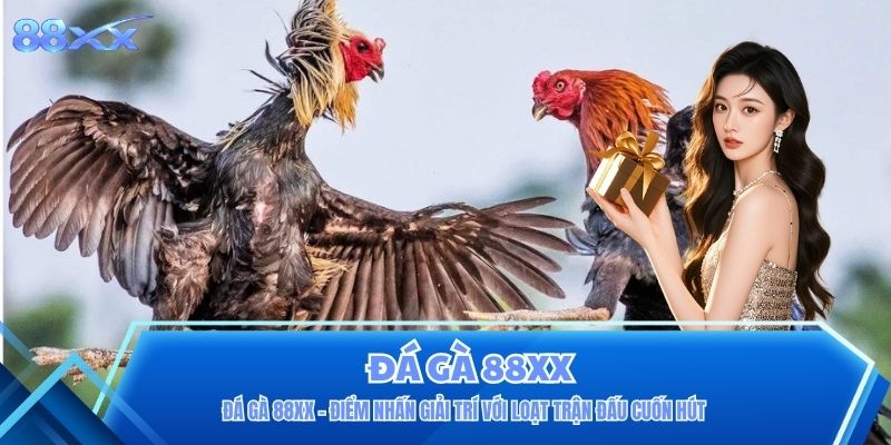Đá Gà 88XX - Điểm Nhấn Giải Trí Với Loạt Trận Đấu Cuốn Hút
