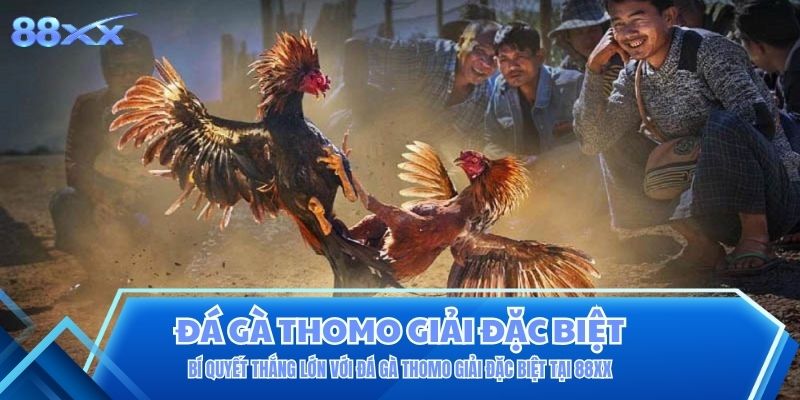 Bí Quyết Thắng Lớn Với Đá Gà Thomo Giải Đặc Biệt Tại 88XX Bí Quyết Thắng Lớn Với Đá Gà Thomo Giải Đặc Biệt Tại 88XX